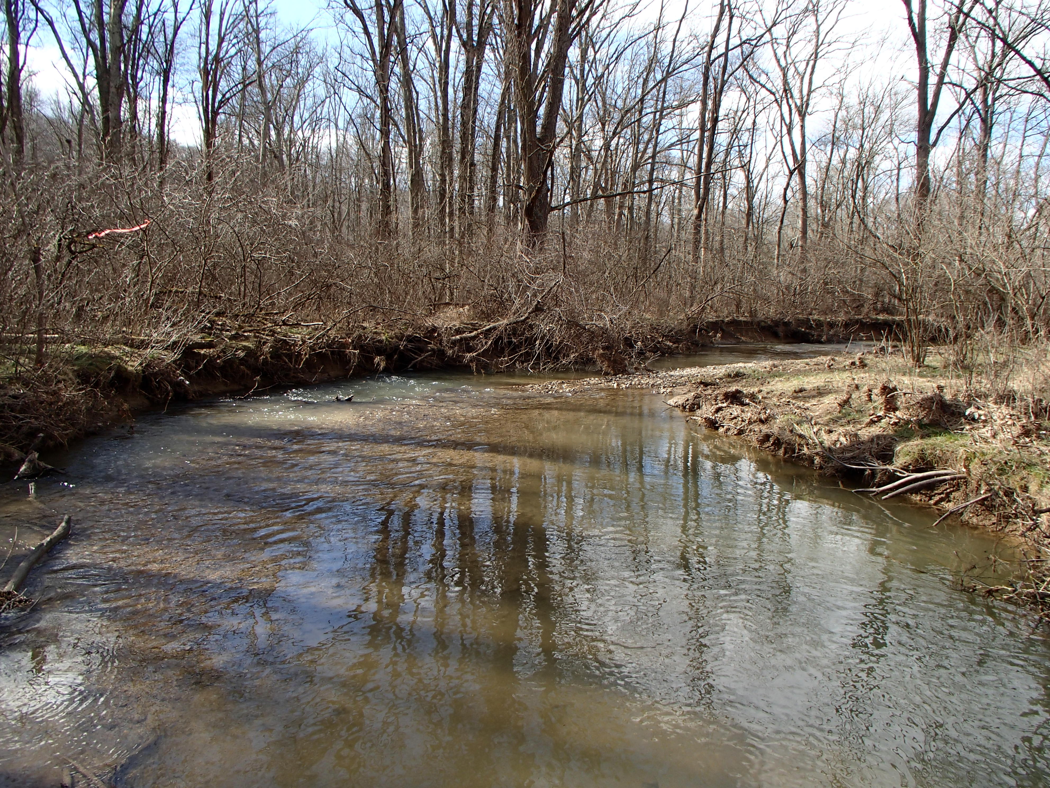 Field photo showing stream conditions at site DOUB-218-R-2016_midpoint downstream